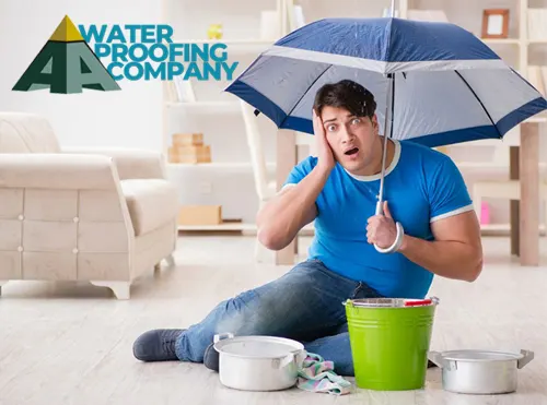 Portfolio AAA Water Proofing Company